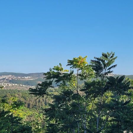 הבית באשכולות Maalot Tarshiha Exterior photo